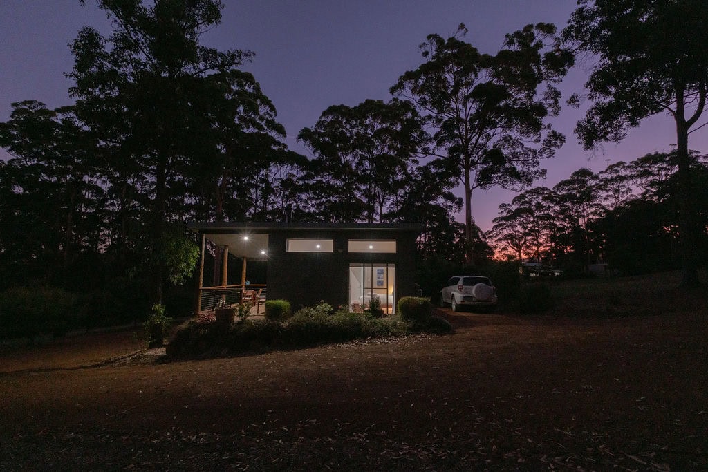 Peaceful nights in the forest