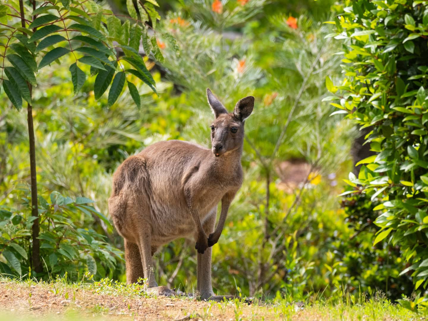 Denmark Accommodation Floating Forest CAD 273