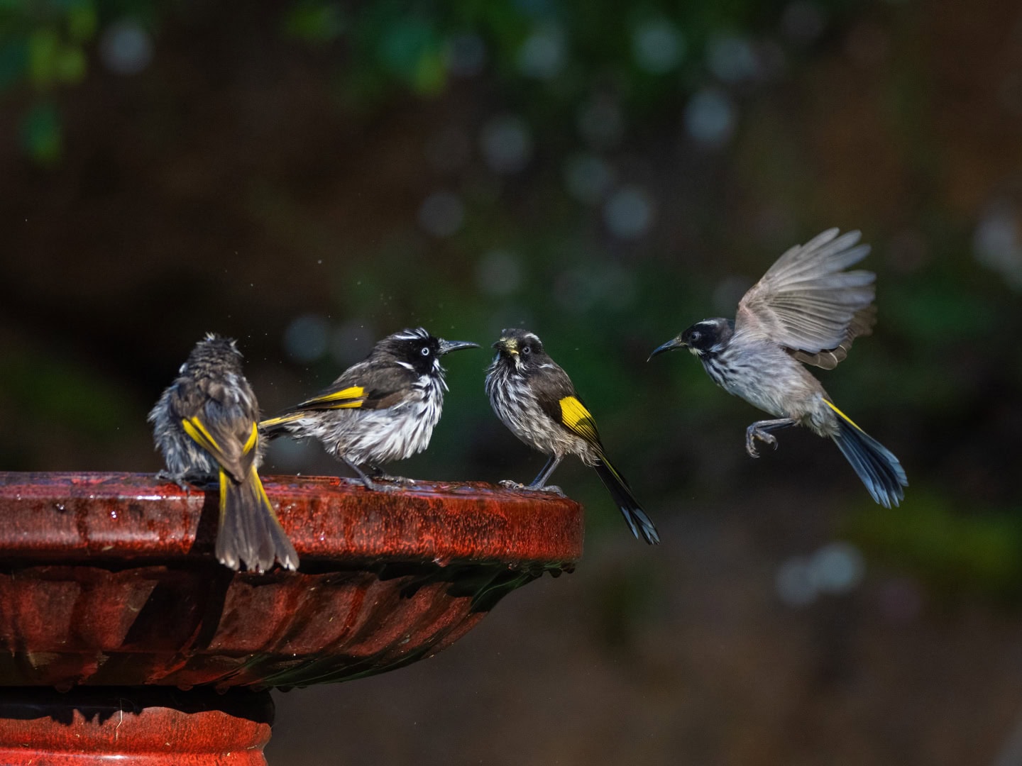 Denmark Accommodation Floating Forest CAD 355