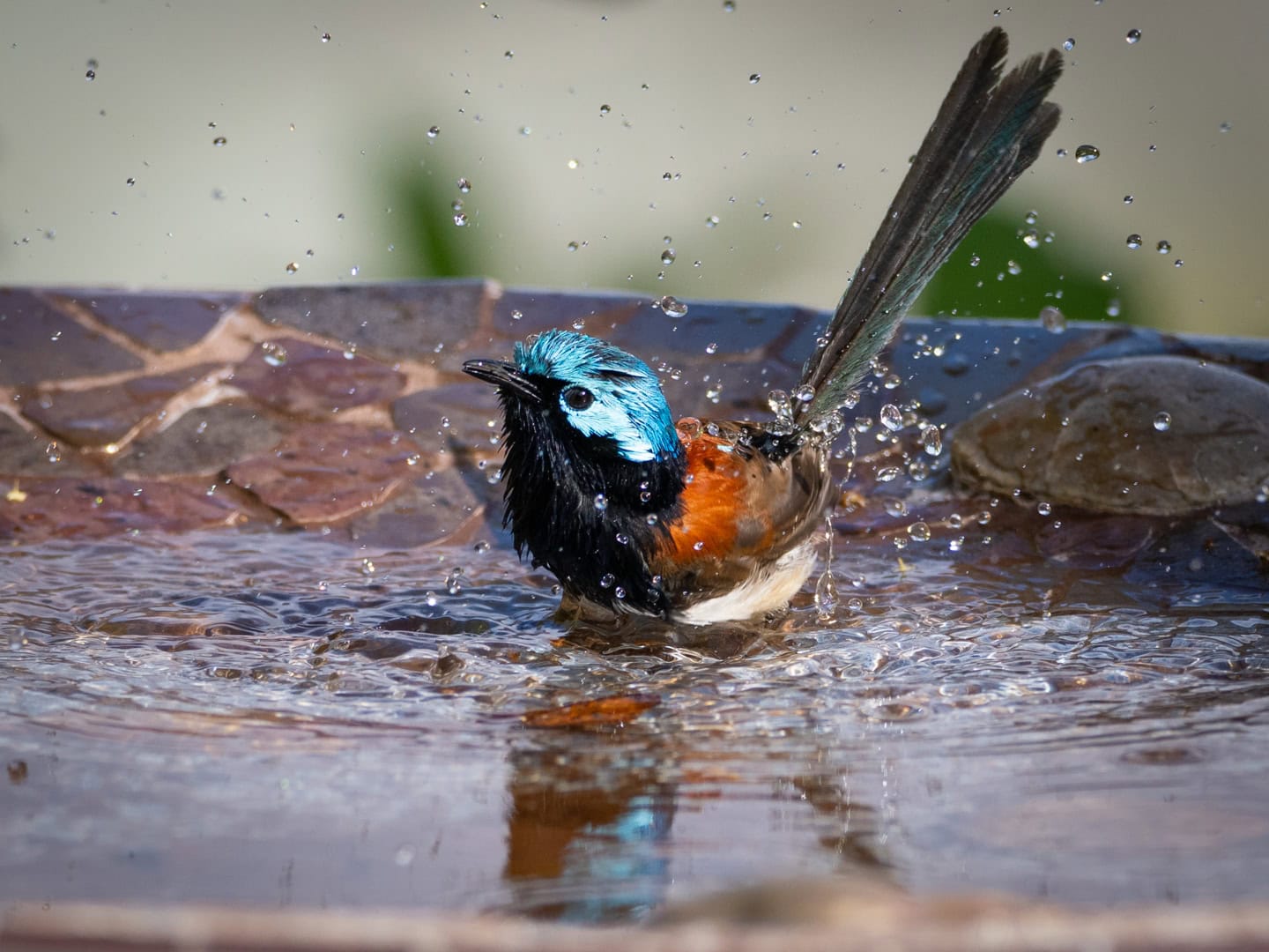Immerse yourself in nature