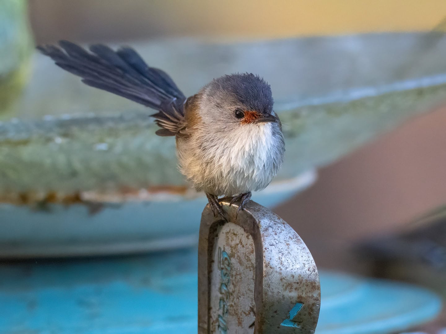 A birdwatchers paradise