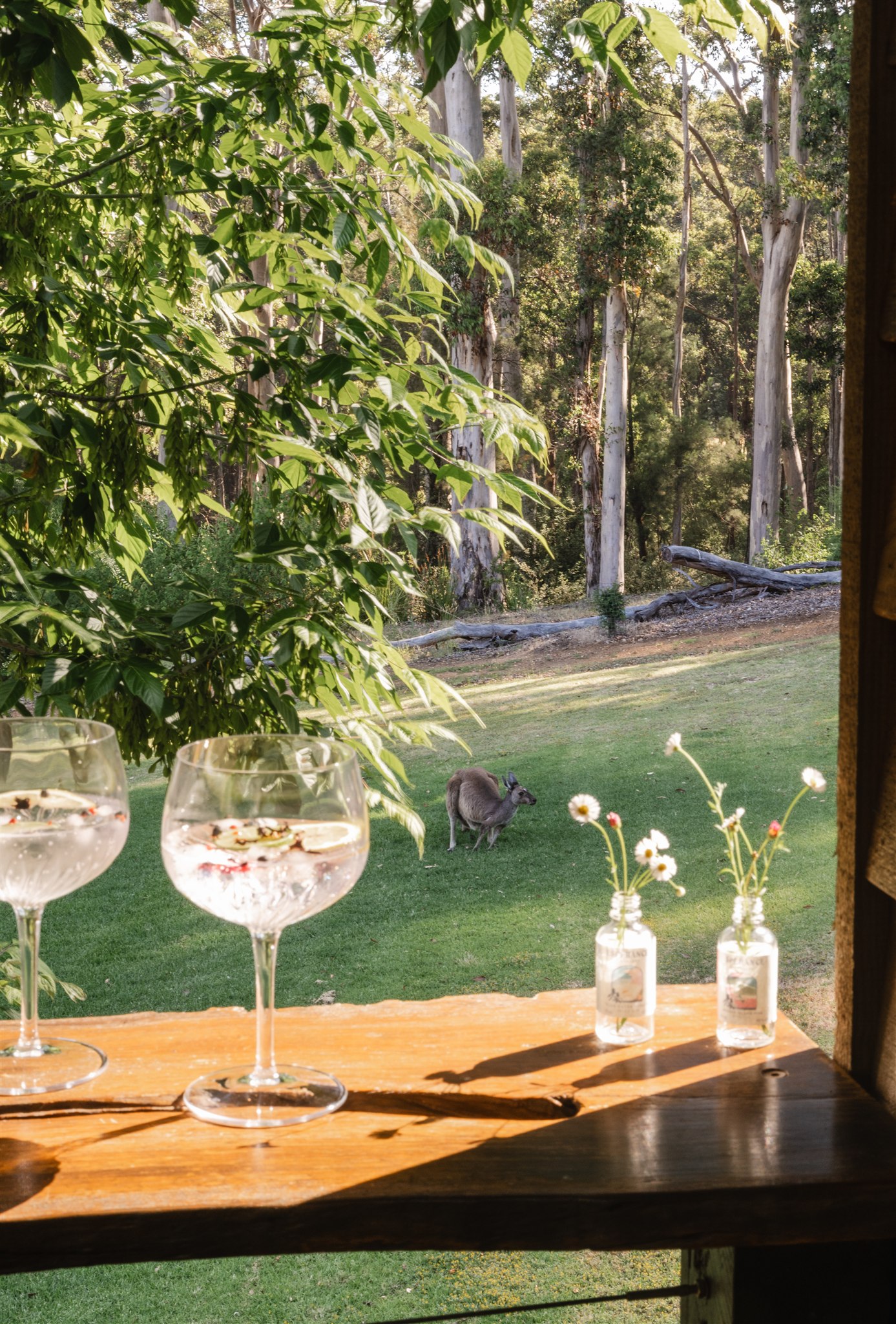 Sundowners on the balcony watching the wildlife