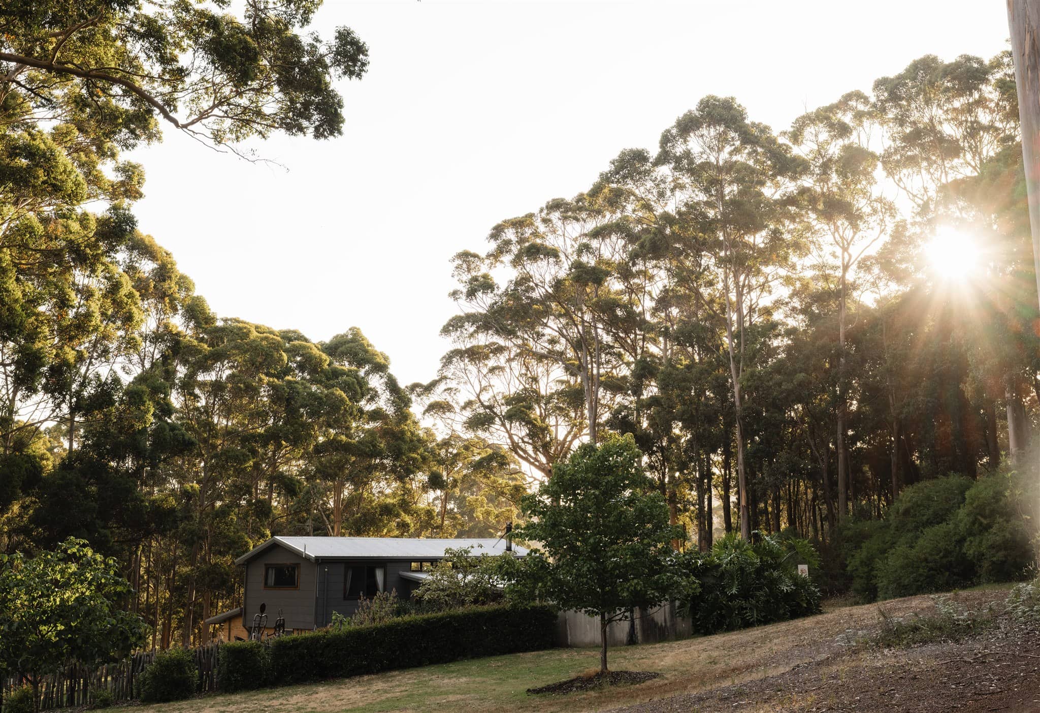 Jarrah Chalet is tucked away in amongst old Karri and Tingle forest