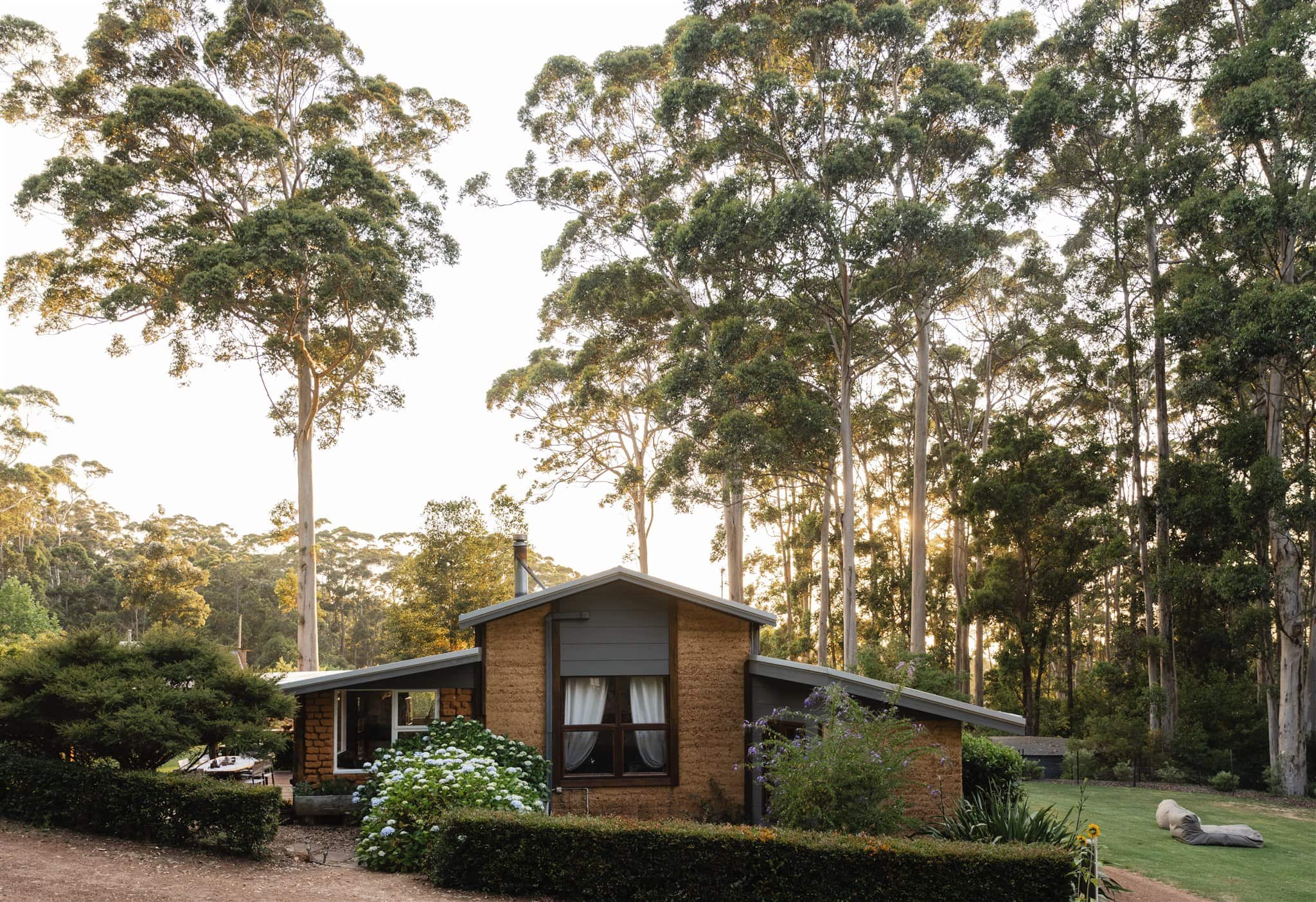 Your home away from home amongst the old growth forest