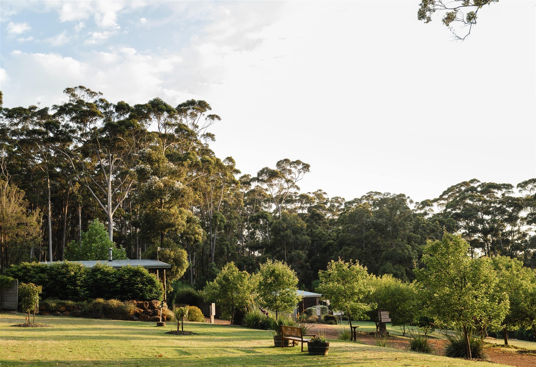 Immerse yourself in nature