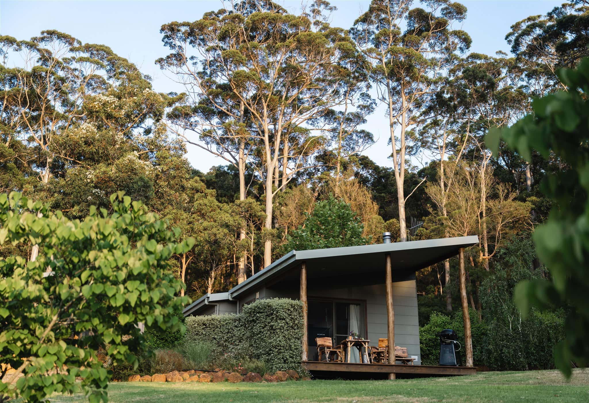 BBQ on the Weber with forest views all around you