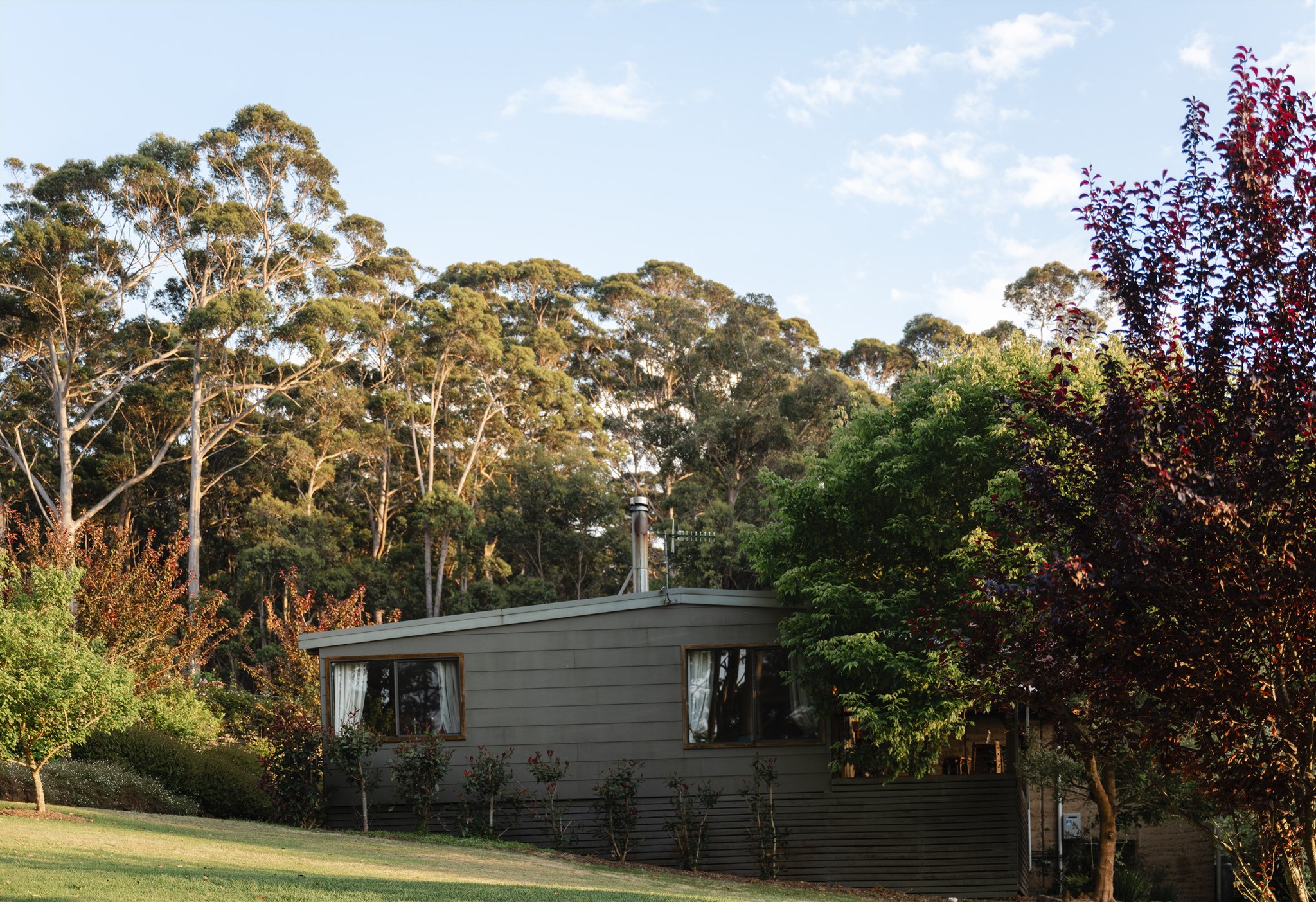 Home away from home amongst the old growth forest awaits