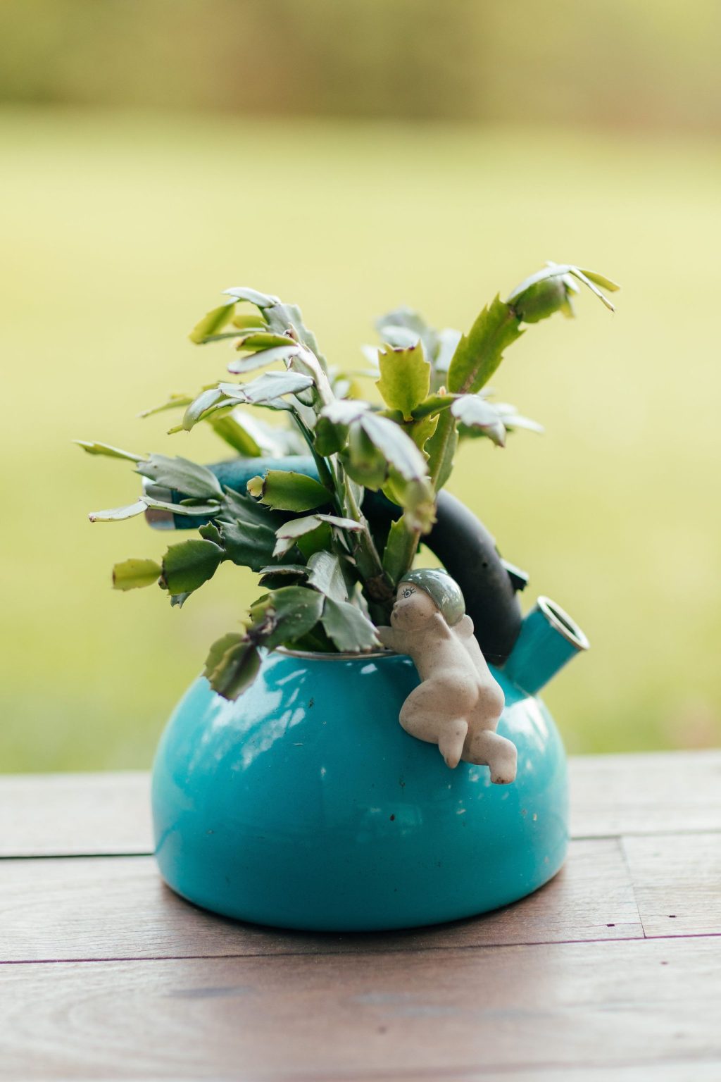 RiftPhotography-FloatingForestDenmark-325