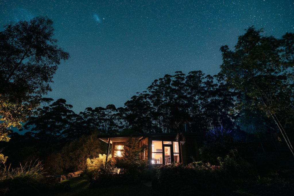 RiftPhotography-FloatingForestDenmark-332