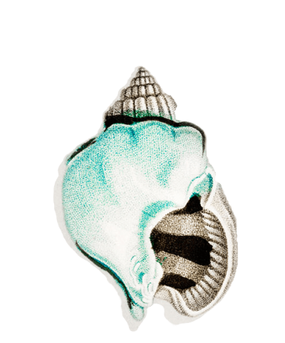 nature-postcard-4-ornament