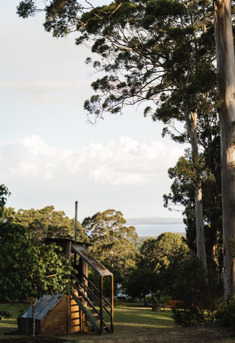 The Floating Forest View