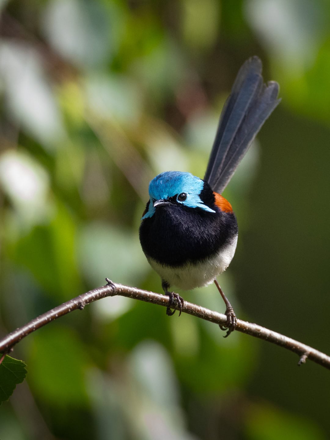 A birdwatchers paradise