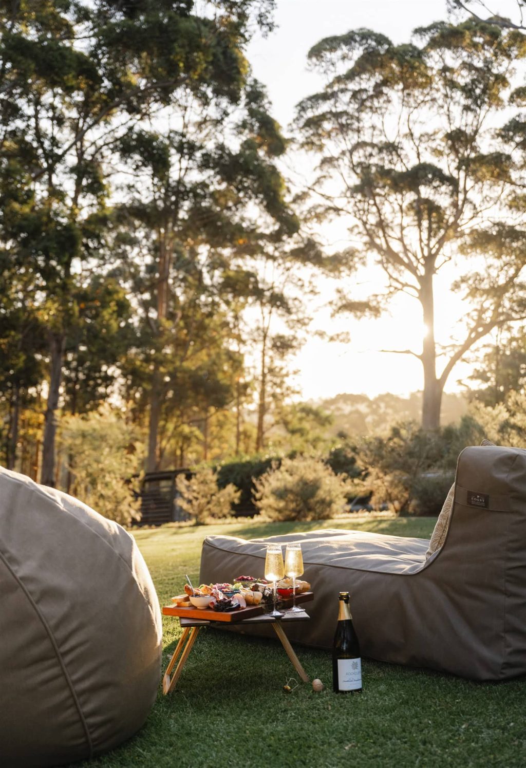 The Floating Forest